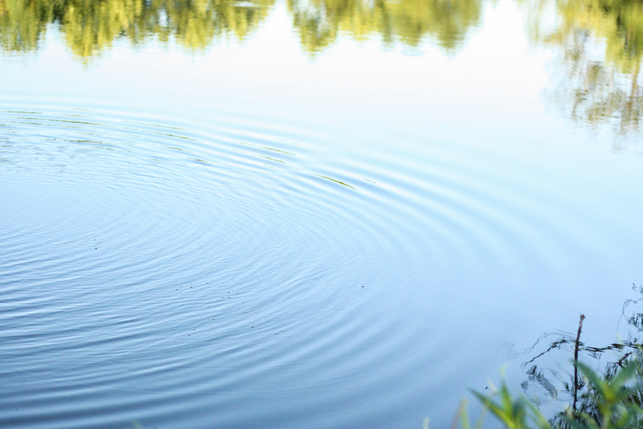 Tranquil Pond, Rippled